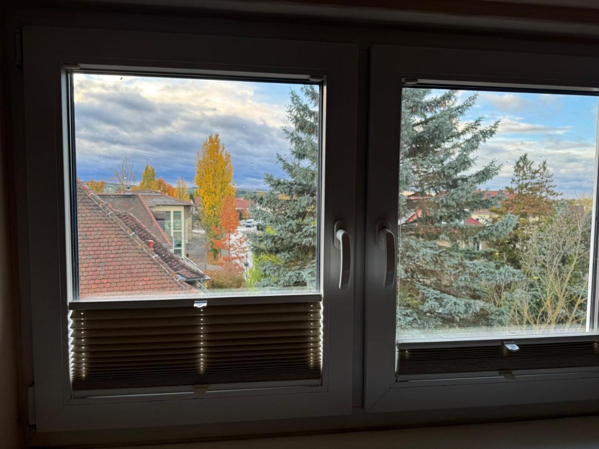 205 Qm "Traumtor" Mit Sauna, Whirlpool, Kamin Und 3 Terrassen Mit Blick In Die Boehmisch Saechsische Schweiz ドレスデン エクステリア 写真